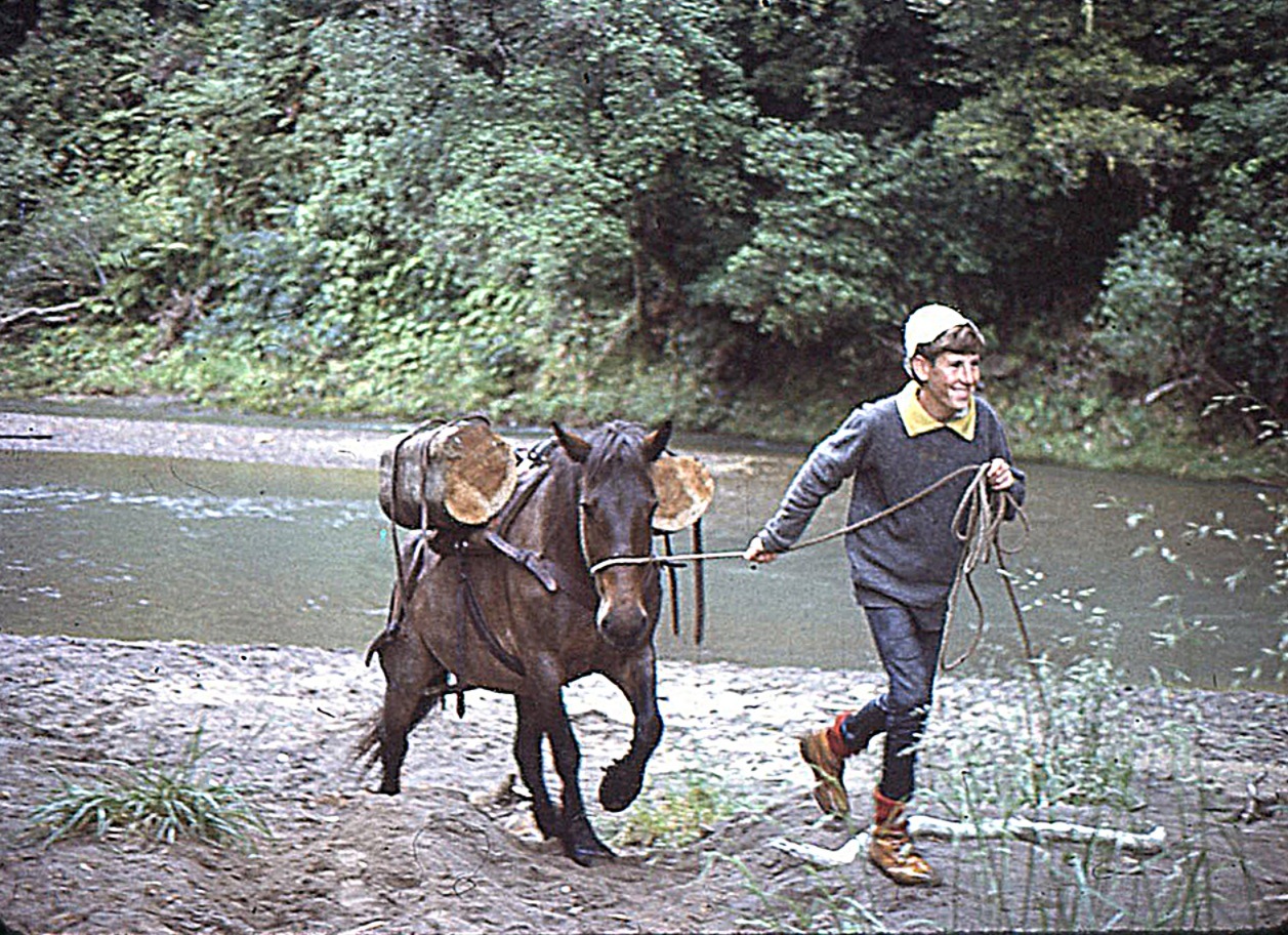 School working party: Te Urewera National Park