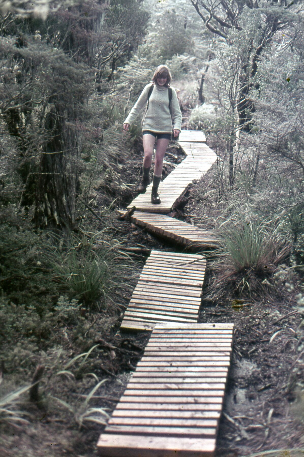 Board walk rafts: Tongariro National Park