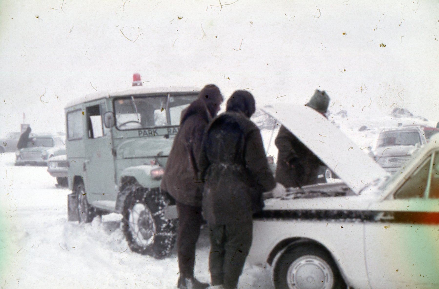 Car parking, Top of the Bruce: Tongariro National Park