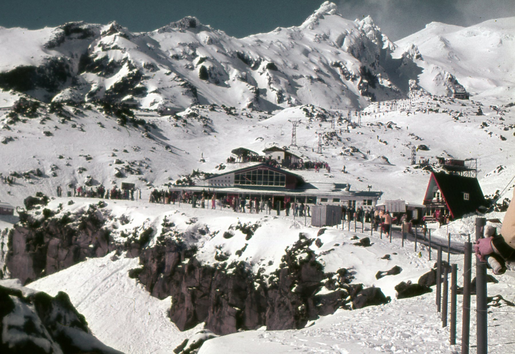 Top of the Bruce: Tongariro National Park