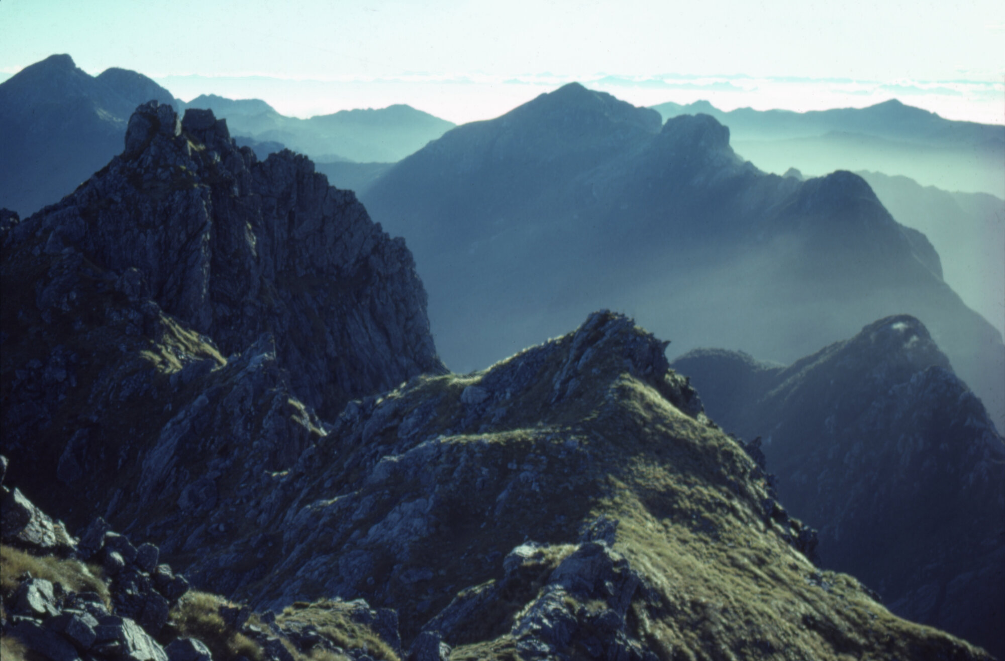 Paparoa Range: Westland