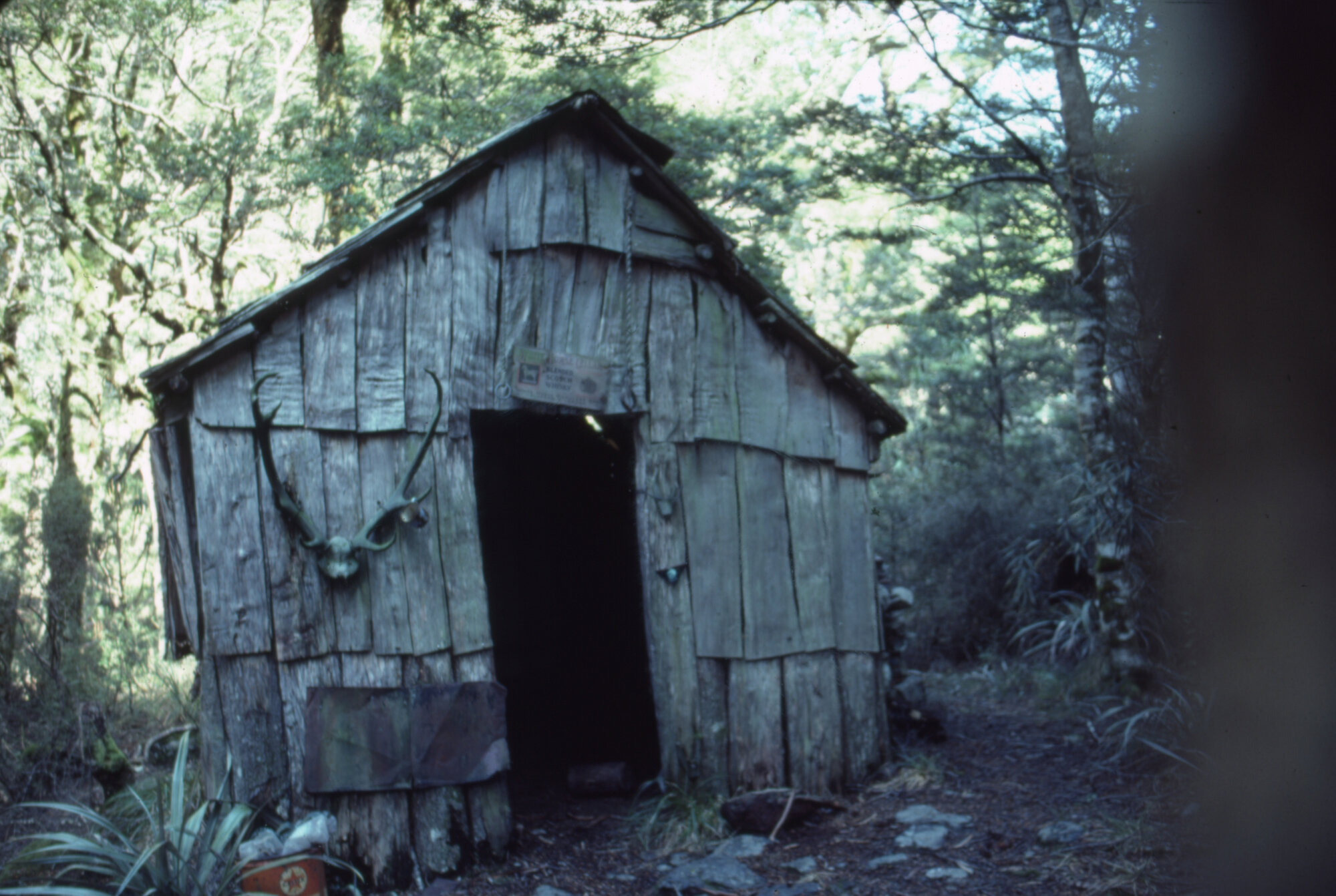 Mount Owen: Kahurangi National Park