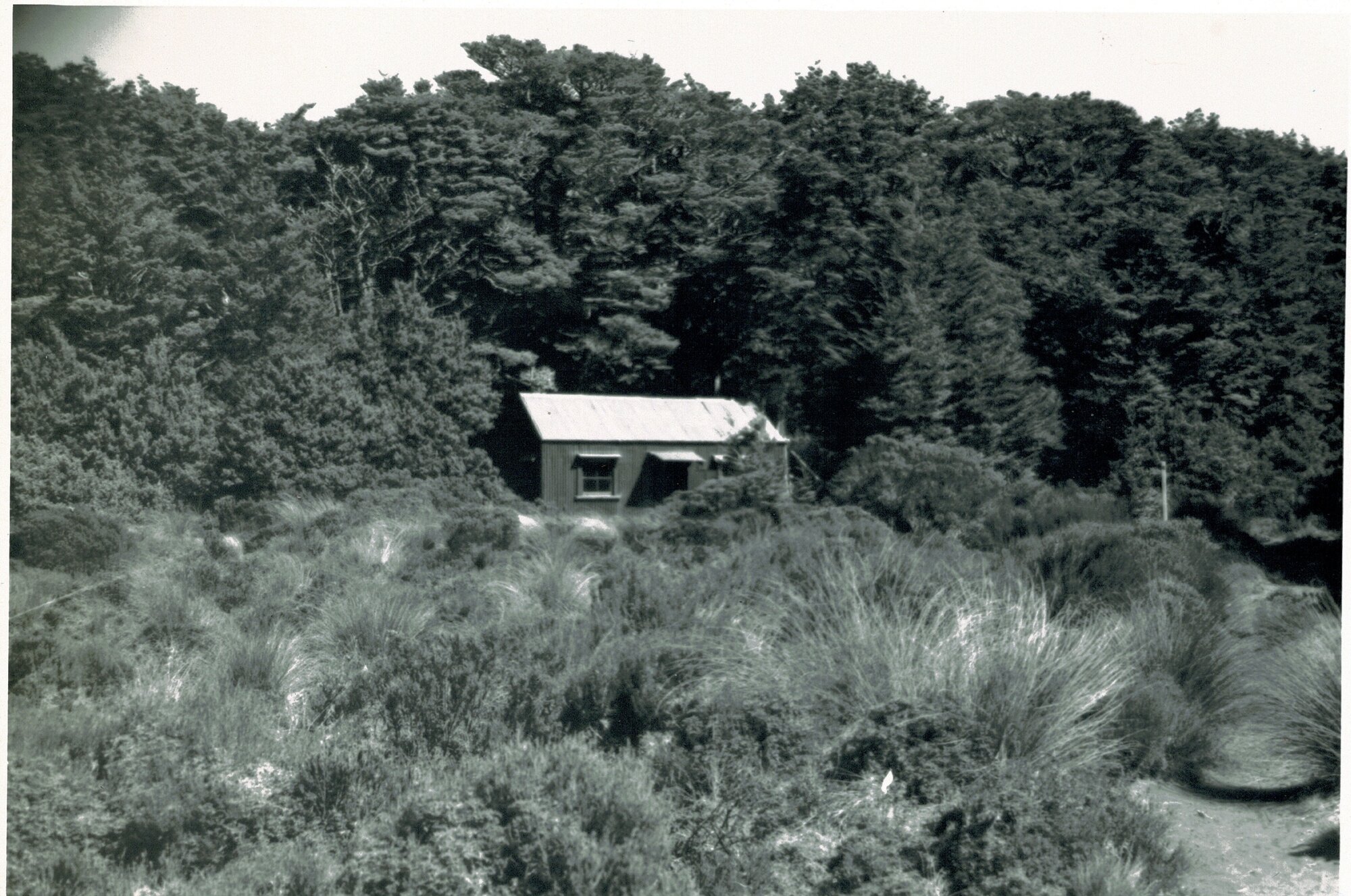 Old Waihihonu hut: Tongariro National Park