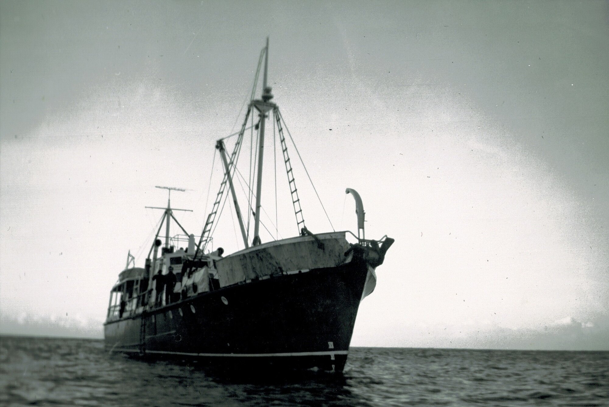 M.V. Colville at Little Barrier Island: Hauraki Gulf Maritime Park