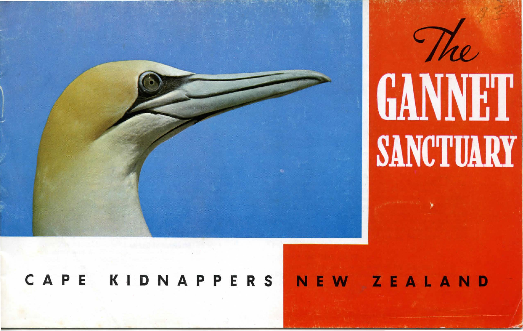 Cape Kidnappers The Gannet Sanctuary brochure 1964 Cape Kidnapper Bird Sanctuary Board