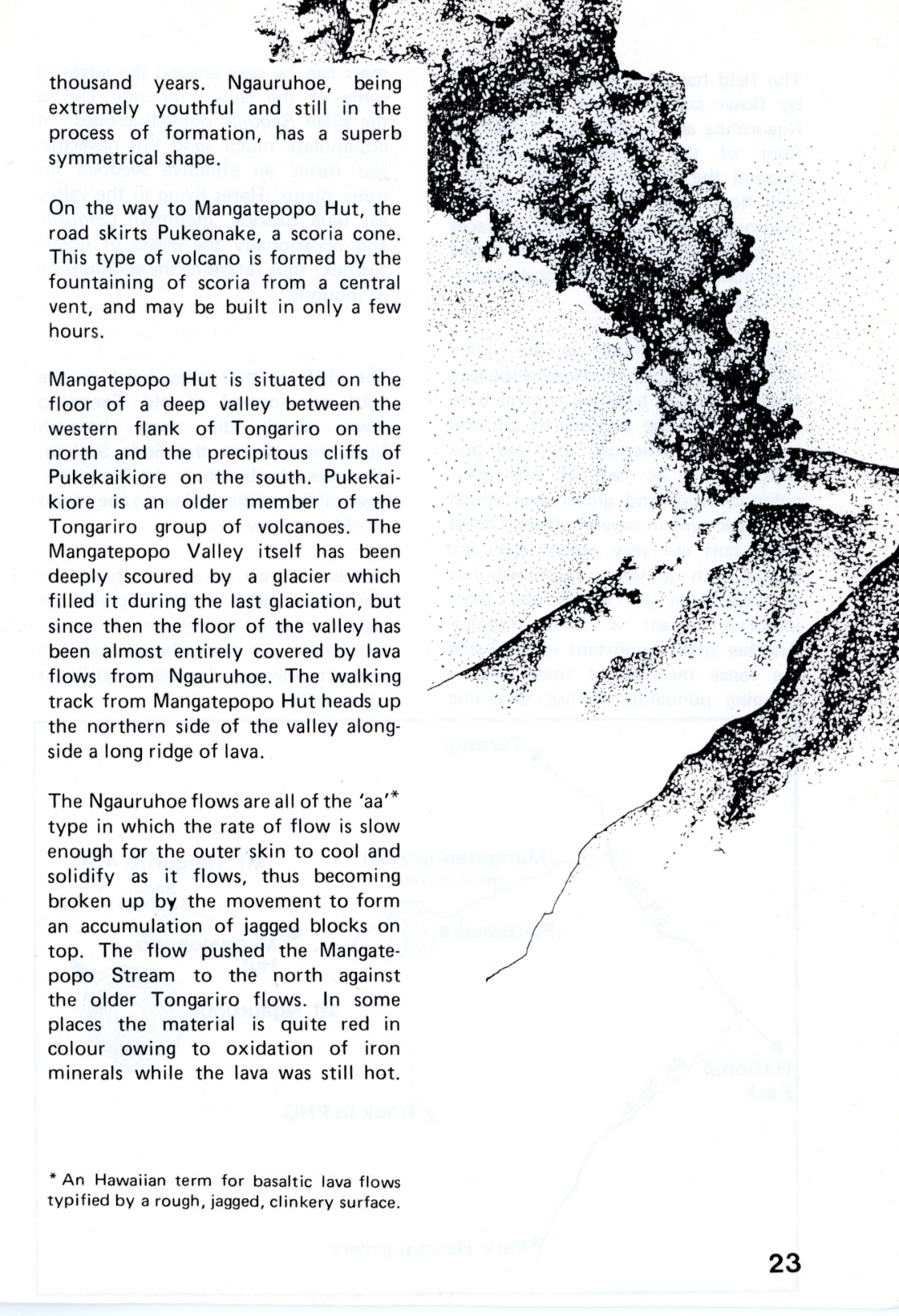 The Journal of the Tongariro National Park No. 11 1982