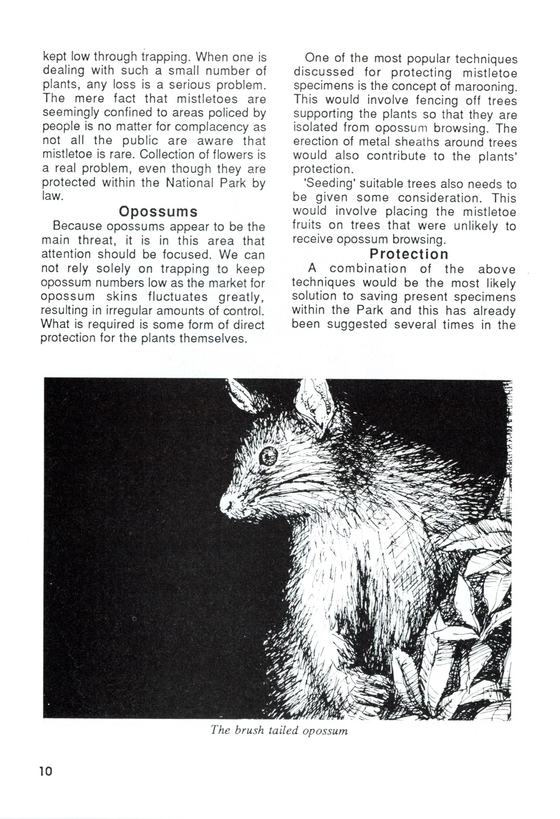 The Journal of the Tongariro National Park No. 28 1987