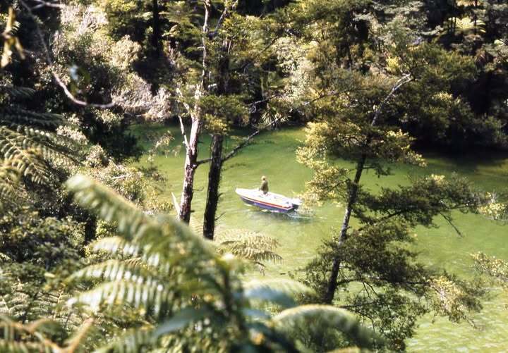 Bruce Arnold: AbelTasman National Park 
