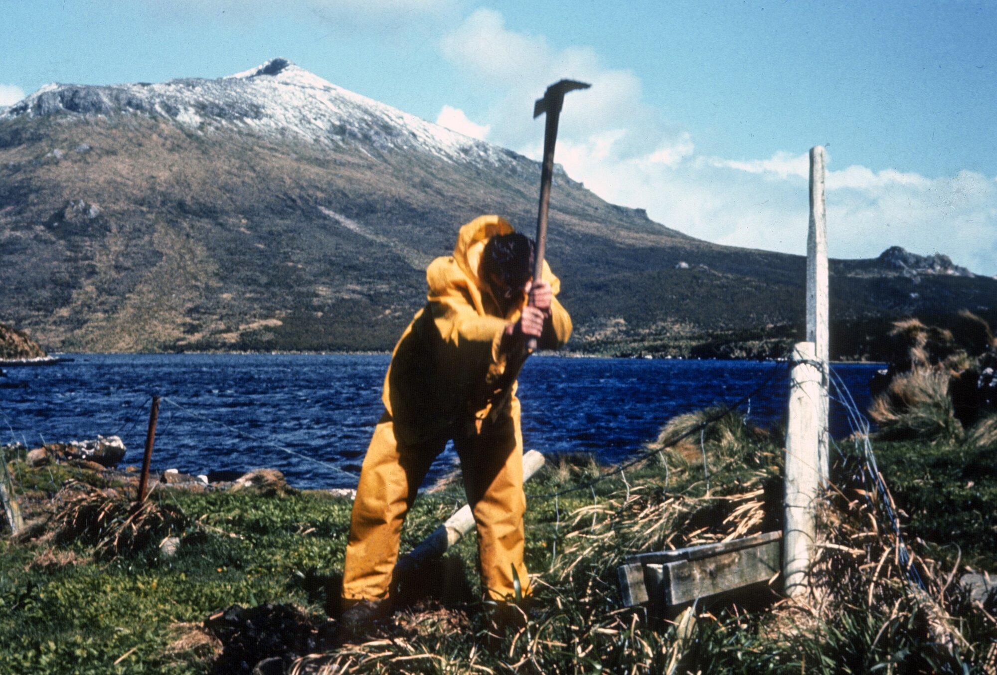 Mount Honey: Campbell Island