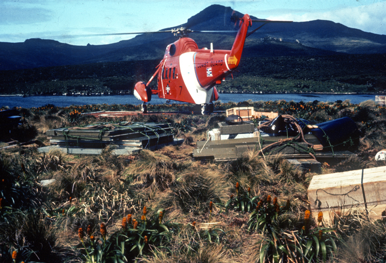 Supply: Campbell Island