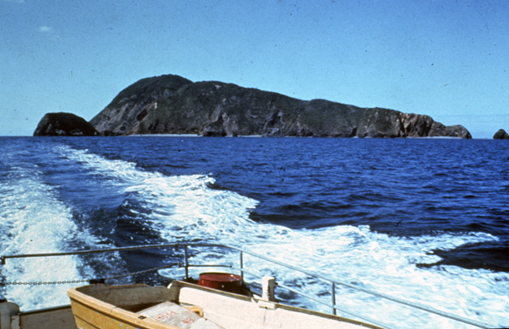 Chetwode Islands: Marlborough Sounds Maritime Park