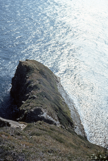 Titi Island: Marlborough Sounds Maritime Park