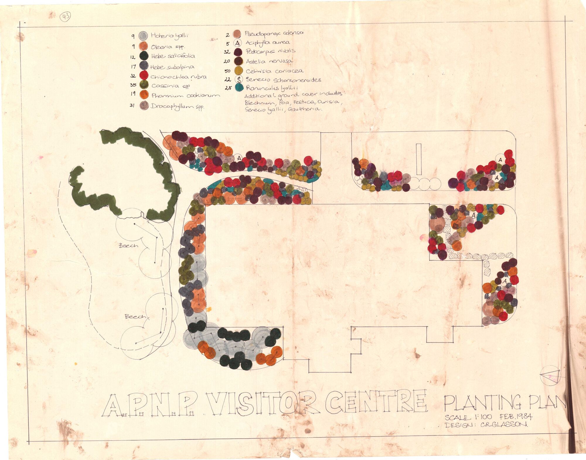 Visitor Centre Planting Plan: Arthur's Pass National Park
