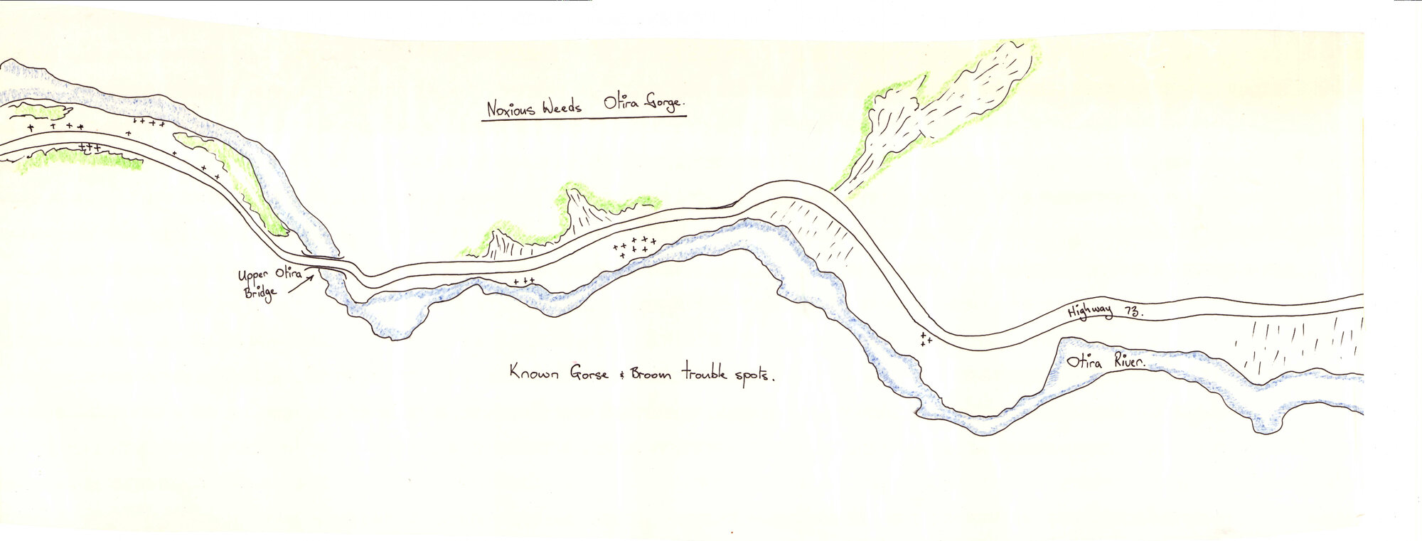 Noxious weeds: Arthur's Pass National Park