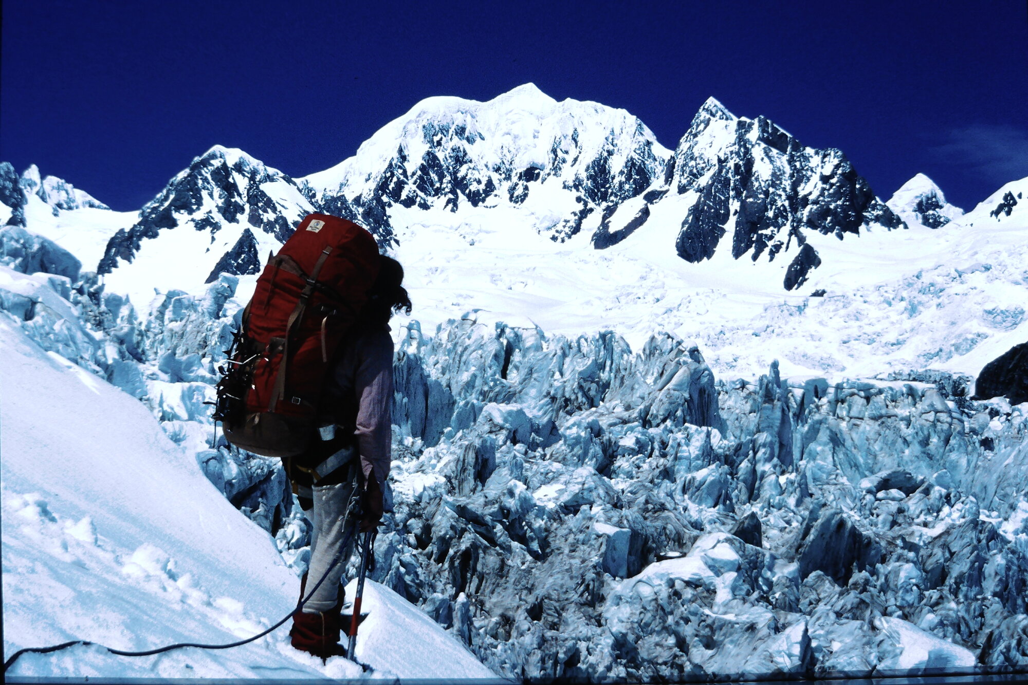 Mount Tasman from lower Fox Glacier: Westland Tai PoutiniNational Park