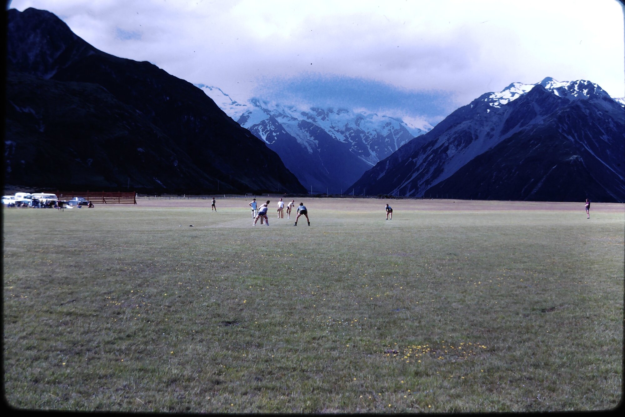 Cricket Birch Hill:Aoraki Mount Cook National Park
