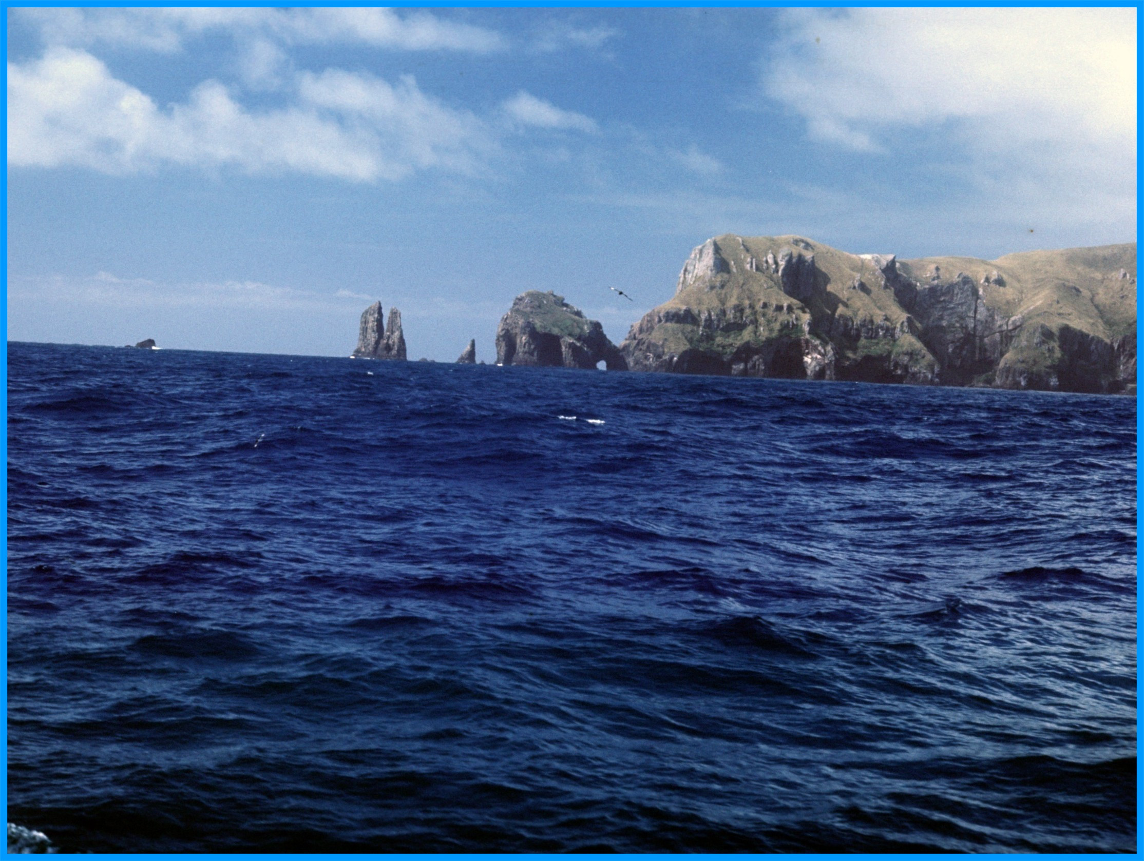 Image 9
First glimpse of the Auckland Islands.