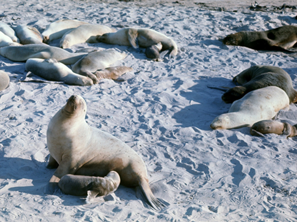 Image 25.
Sometimes peace does reign.