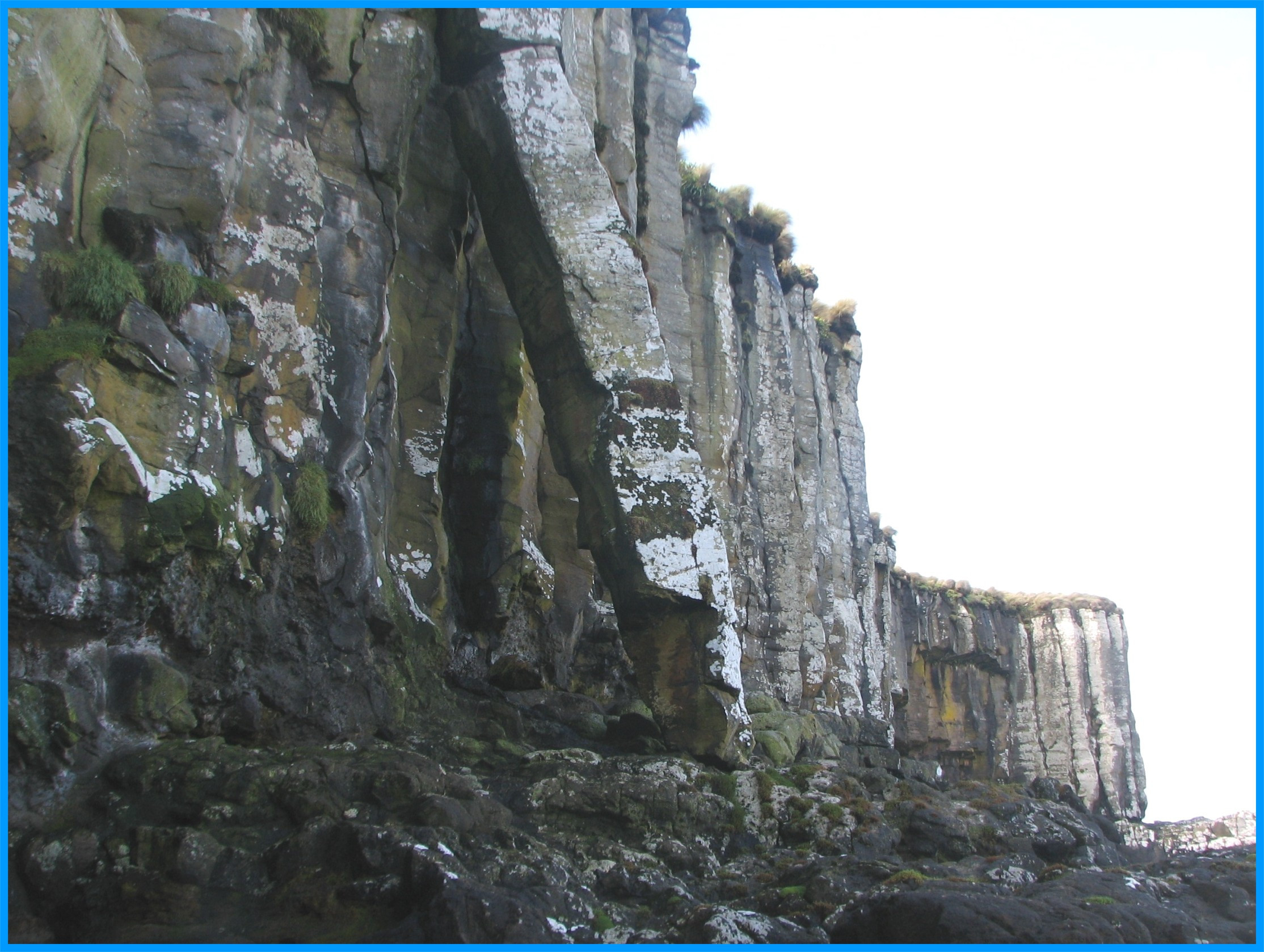 Image 59
The Auckland Islands are the eroded and sea-flooded remains of two ancient volcanoes, one centred on Carnley Harbour, the other centred on Disappointment Island. Basalt columns and lava flows dominate the coastline. 