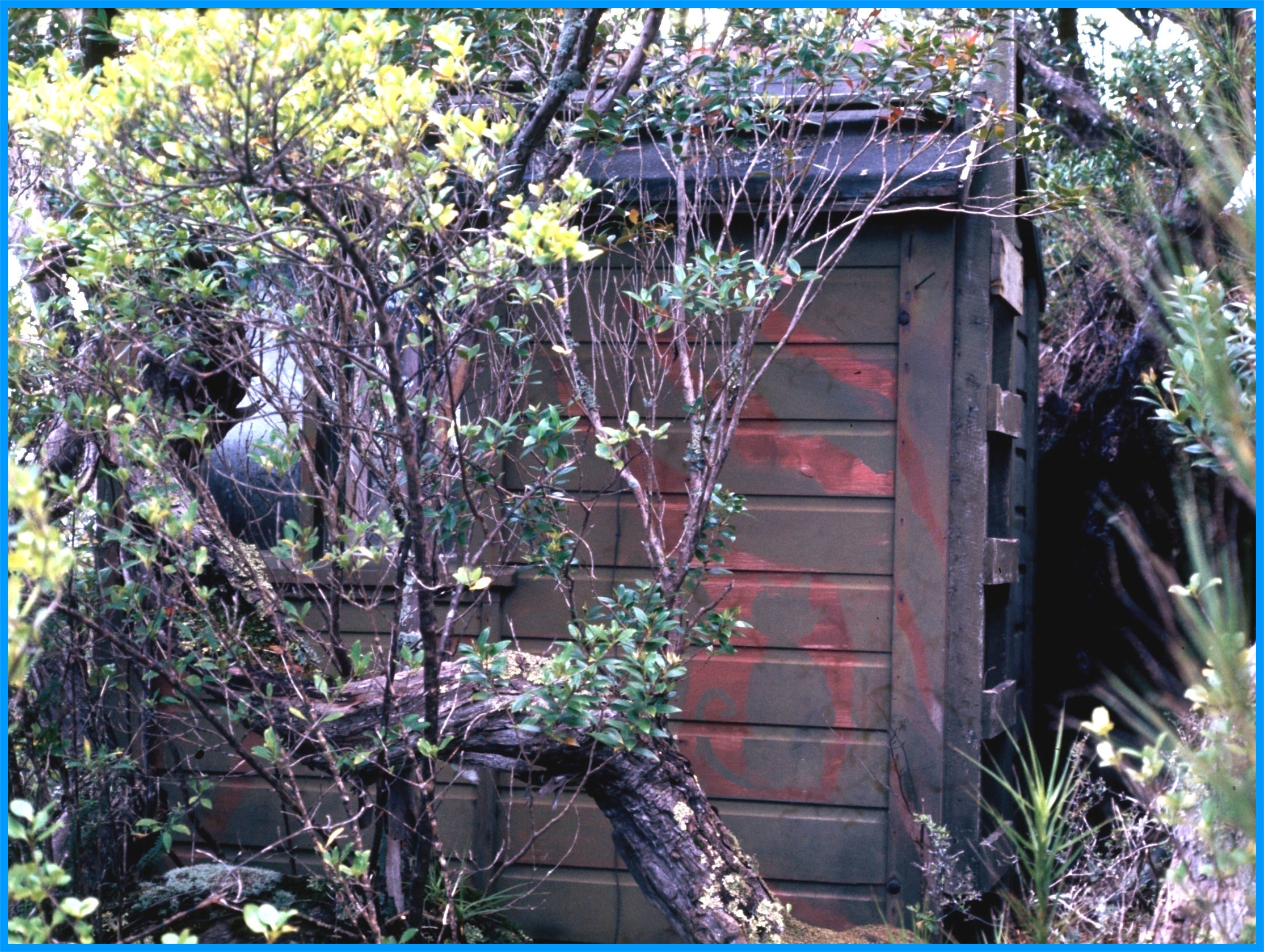 Image 70.
The coastwatchers' lookout.