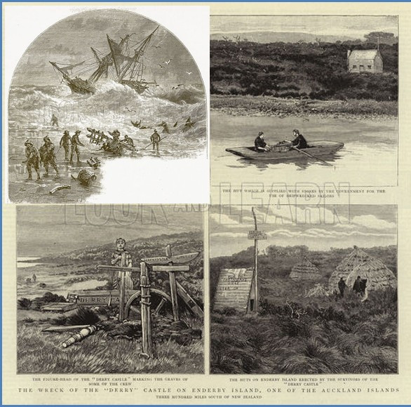 Image 20.
Only eight of the 23 people aboard the General Grant survived.  They lived in huts made of tussock. Although they did find the Stella castaway depot, it had already been emptied of its provisions. The survivors were rescued after 93 days, and their story is definitely worth a read.