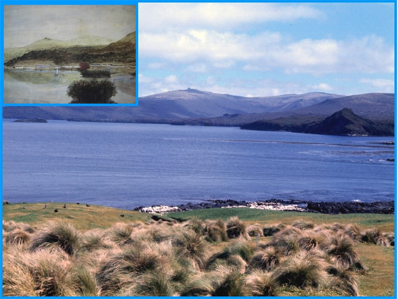 Image 72.
Looking across Port Ross from Enderby Island towards the site of the Hardwicke settlement. 