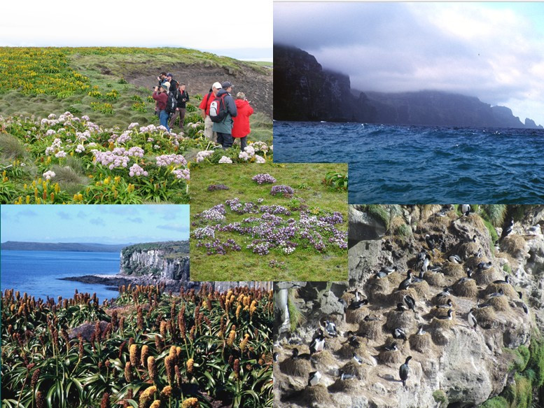 Image 94.
The recovery of the natural eco-system once the rabbits and cattle were removed was spectacular.