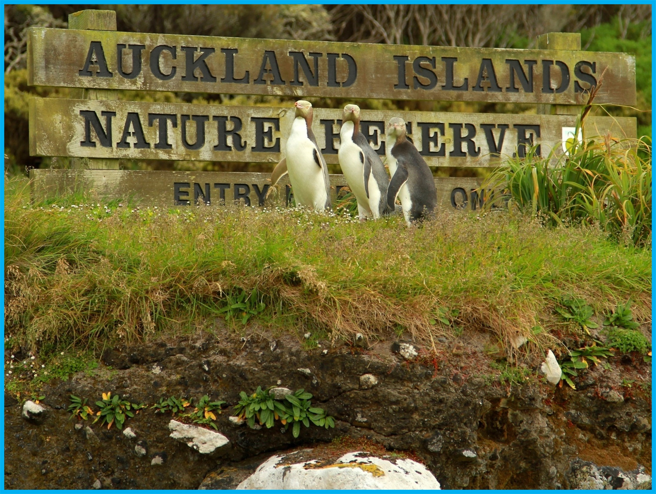 Image 89.
The locals remain in charge.