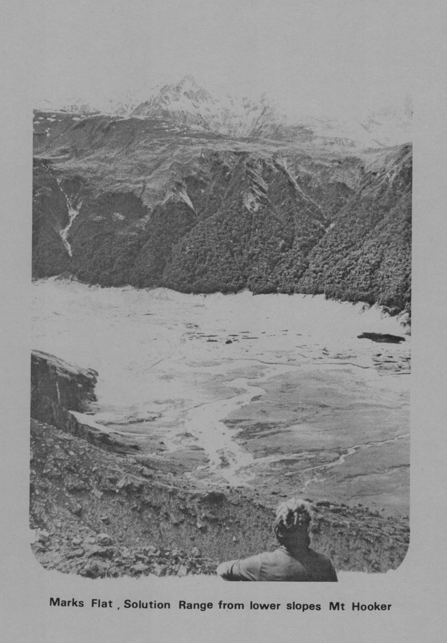 Image 4: Field trip with ranger Ray Bellringer.