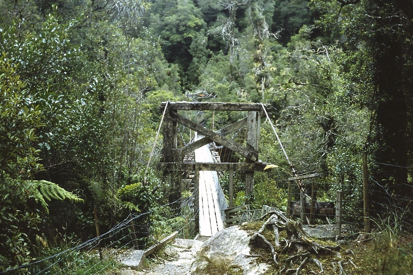 Image 2: Hokitika Gorge - original stock bridge and access