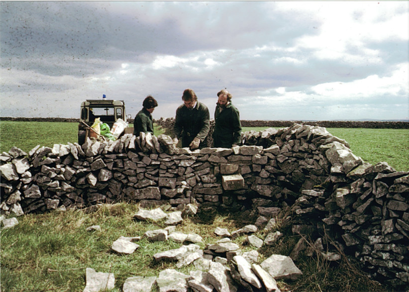 Drystone wall repair, Peak District National Park 1985