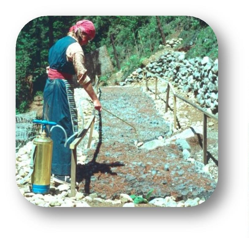 Image 4: Kaye at the Tashinga Plant Nursery.