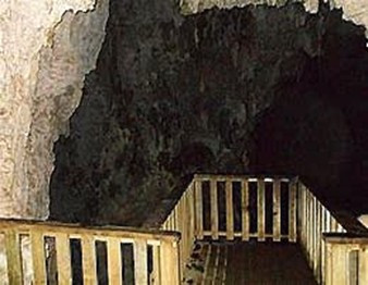 Lookout Platform, Relict Cave Passage Ruakuri Bush Scenic Reserve, Waitomo                                                               Credits: Original owners
