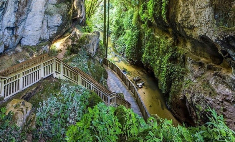 Mangapohue Natural Bridge Scenic Reserve, Waitomo Credits: DOC