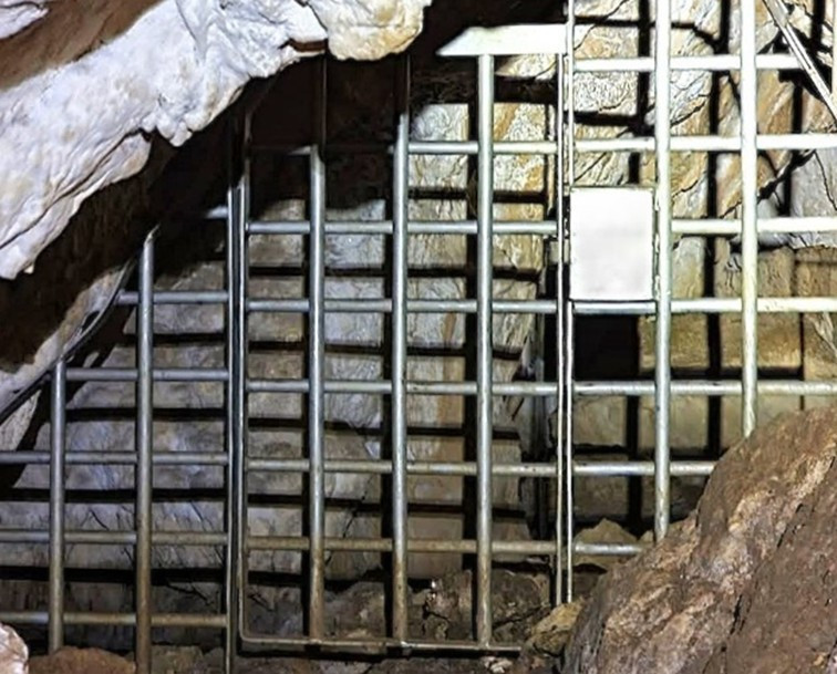 Gate, Honeycomb Hill Cave, Oparara, Karamea.                              Credit: Mal Hansen (General design for all other gates)	                     