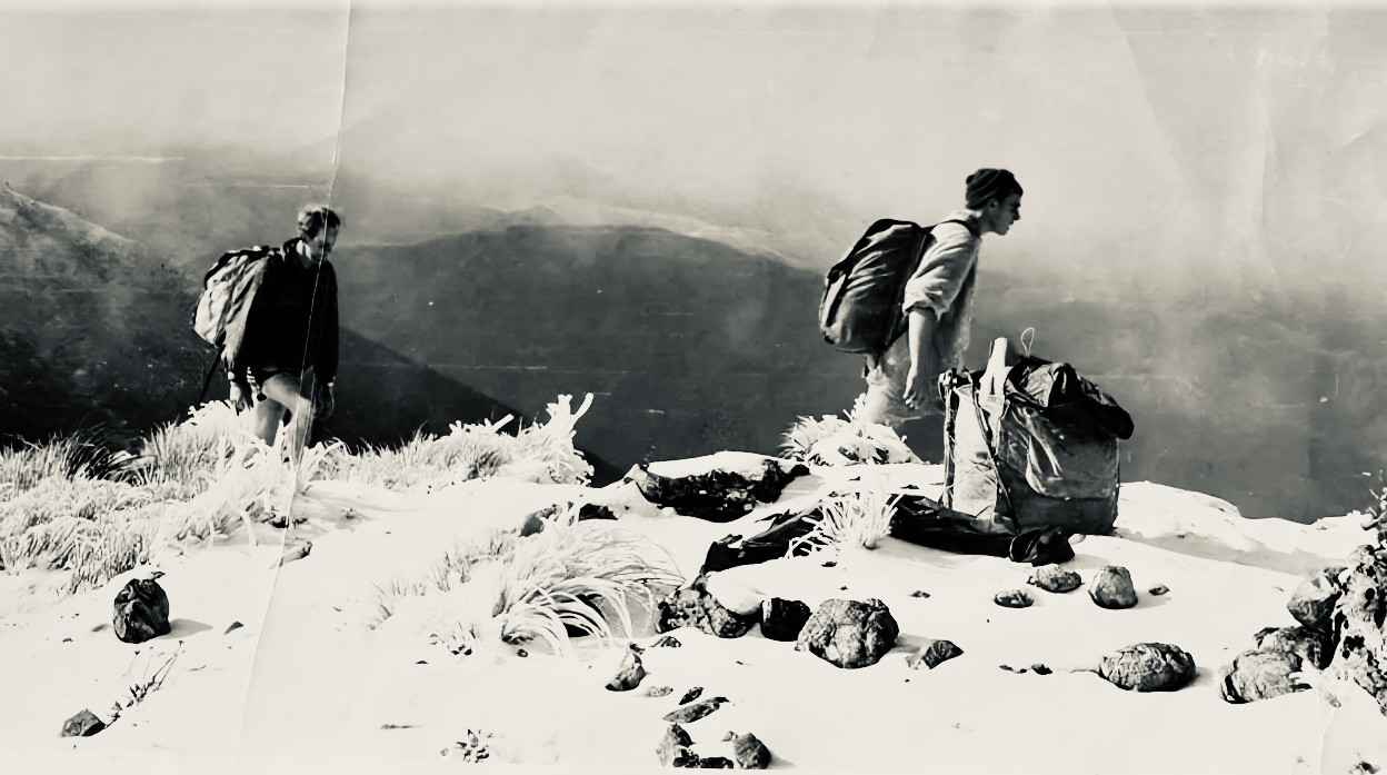 Schoemanns to Kaitoki track