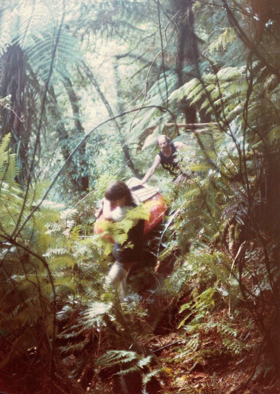 An exploratory journey down Heao Stream, in the remote Taranaki forested hinterland, led to a long portage to avoid a surprise waterfall. Here Milo Gembitsky and John Skipworth portage around the waterfall, through a tangle of mainly bush lawyer. A Canadian canoe really wasn’t the most practical craft for such trips!