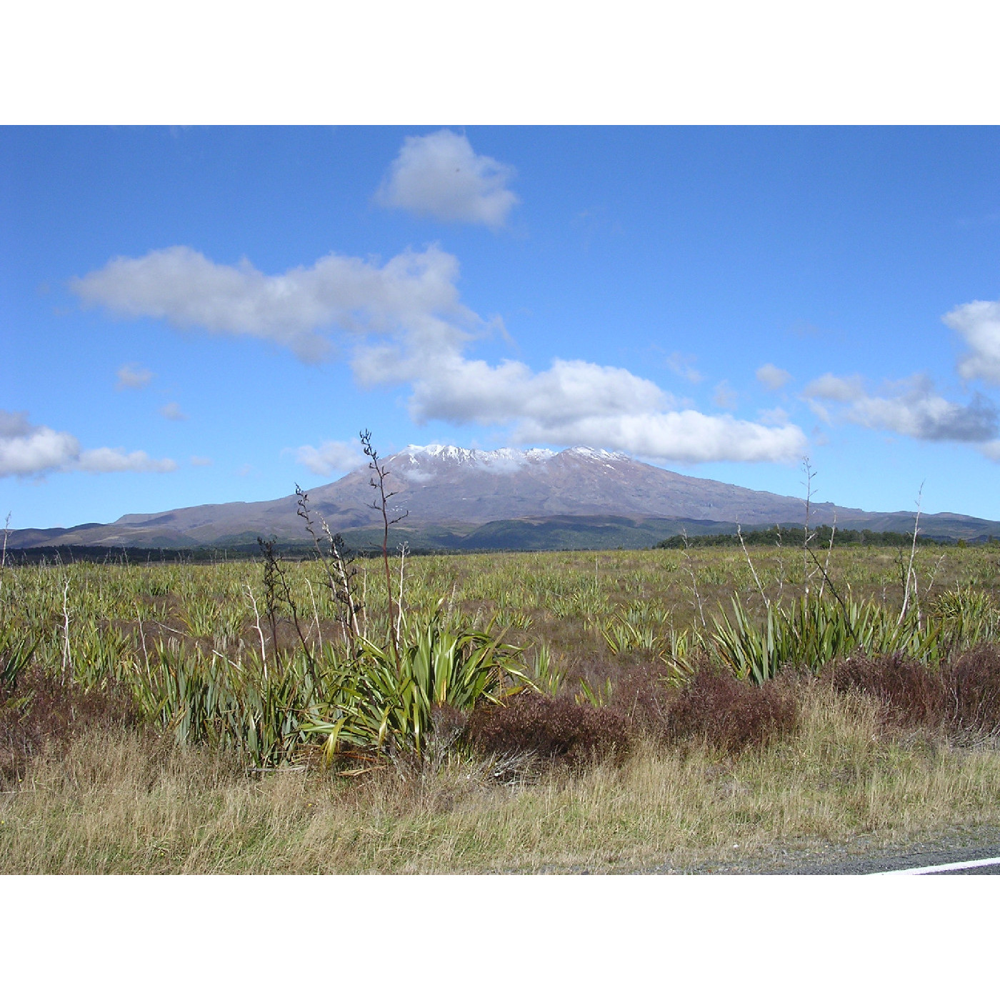 Tongariro National Park: Rangers Memoirs