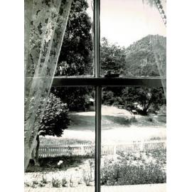 Anderson Colonial House view from upper window