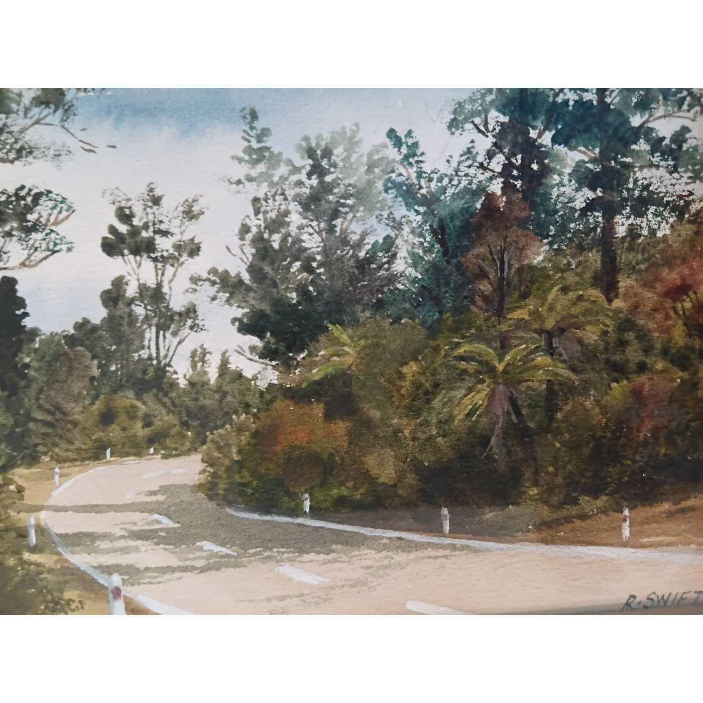 Wellington Land District: Rangers Memoirs