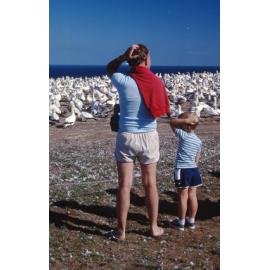 Visitors to the Cape Kidnappers gannet colony
