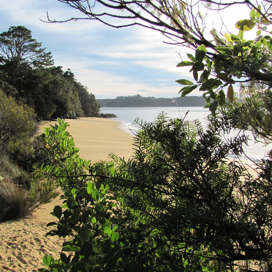 Rakiura National Park