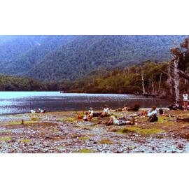 Lake Kaurapataka on summer interpretation programme c1980