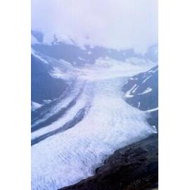 Dart Glacier 1961, Mount Aspiring National Park