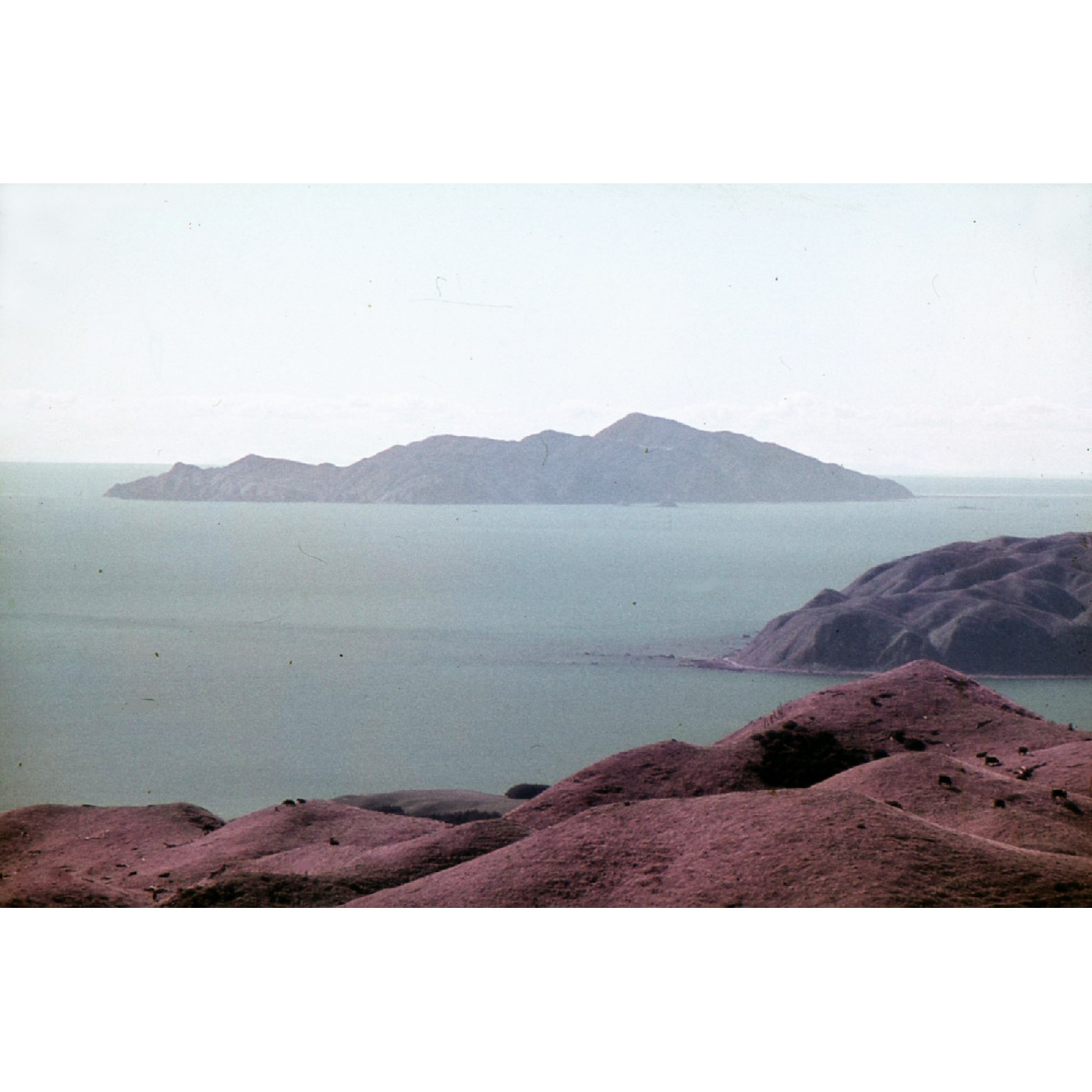 Kapiti Island Nature Reserve