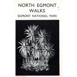 North Egmont Walks: Egmont National Park