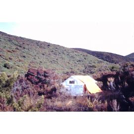 Kakapo search camp at Smiths Lookout Stewart Island,1977