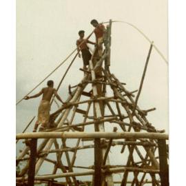 Stage 1: Constructing the Visitor Fale 