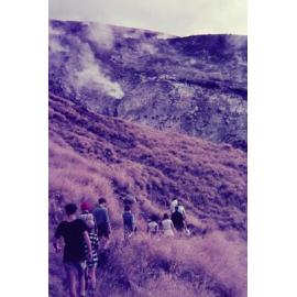 Ketetahi Track: Tongariro National Park