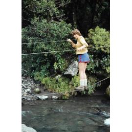 3-wire bridge: Egmont National Park